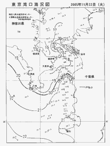 東京湾口海況図(2005/11/22)