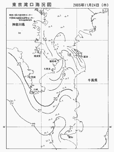 東京湾口海況図(2005/11/24)