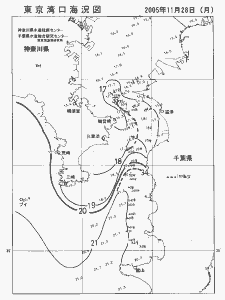 東京湾口海況図(2005/11/28)