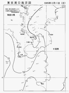 東京湾口海況図(2005/12/11)