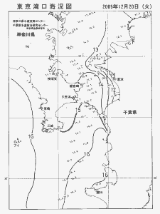 東京湾口海況図(2005/12/20)