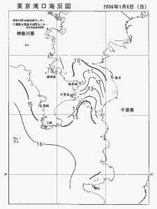 東京湾口海況図(2006/01/08)