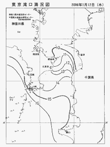 東京湾口海況図(2006/01/12)