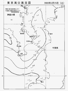 東京湾口海況図(2006/03/25)