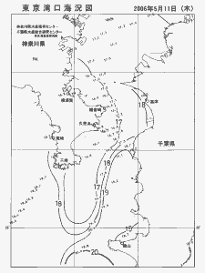 東京湾口海況図(2006/05/11)