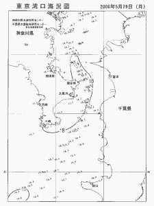 東京湾口海況図(2006/05/29)