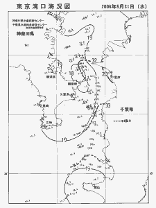 東京湾口海況図(2006/05/31)