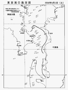 東京湾口海況図(2006/06/03)
