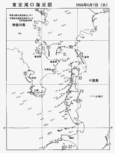 東京湾口海況図(2006/06/07)