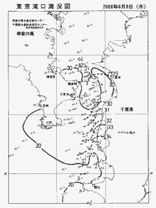 東京湾口海況図(2006/06/08)