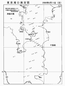 東京湾口海況図(2006/06/11)