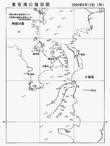 東京湾口海況図(2006/06/12)