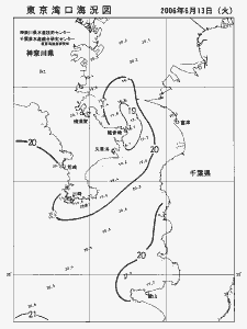 東京湾口海況図(2006/06/13)