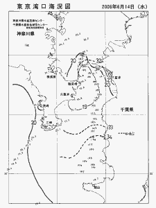 東京湾口海況図(2006/06/14)