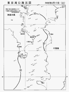 東京湾口海況図(2006/06/17)