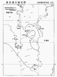 東京湾口海況図(2006/06/20)