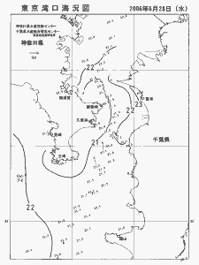 東京湾口海況図(2006/06/28)