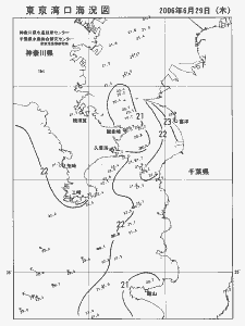 東京湾口海況図(2006/06/29)