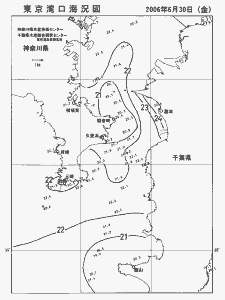 東京湾口海況図(2006/06/30)