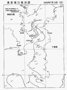 東京湾口海況図(2006/07/16)