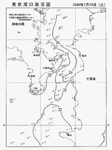 東京湾口海況図(2006/07/29)