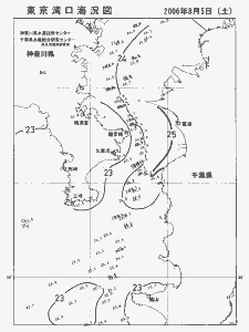 東京湾口海況図(2006/08/05)