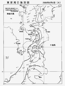 東京湾口海況図(2006/08/08)