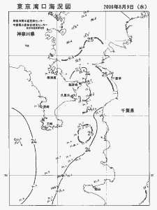 東京湾口海況図(2006/08/09)