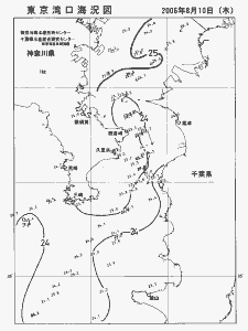 東京湾口海況図(2006/08/10)