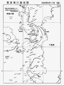 東京湾口海況図(2006/08/11)