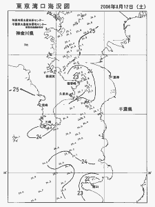 東京湾口海況図(2006/08/12)