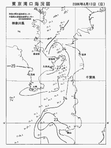 東京湾口海況図(2006/08/13)