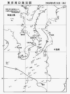 東京湾口海況図(2006/08/16)