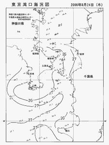 東京湾口海況図(2006/08/24)