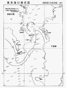 東京湾口海況図(2006/12/20)