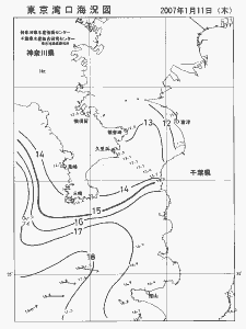 東京湾口海況図(2007/01/11)