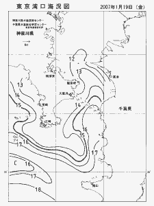 東京湾口海況図(2007/01/19)