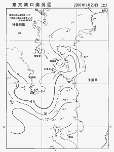 東京湾口海況図(2007/01/20)