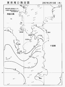 東京湾口海況図(2007/02/15)