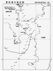 東京湾口海況図(2007/05/20)