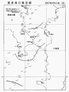 東京湾口海況図(2007/05/21)