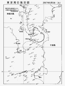 東京湾口海況図(2007/06/05)