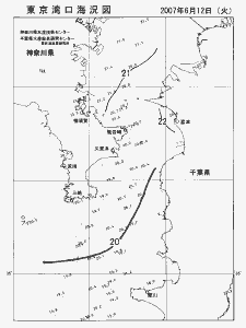 東京湾口海況図(2007/06/12)