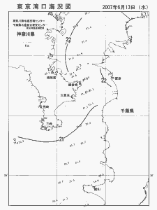 東京湾口海況図(2007/06/13)