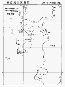 東京湾口海況図(2007/06/15)