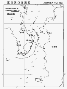 東京湾口海況図(2007/06/19)