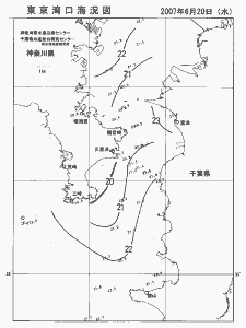 東京湾口海況図(2007/06/20)