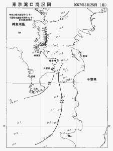 東京湾口海況図(2007/06/25)
