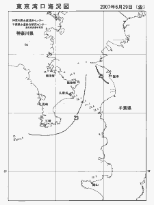 東京湾口海況図(2007/06/29)