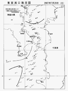 東京湾口海況図(2007/07/28)